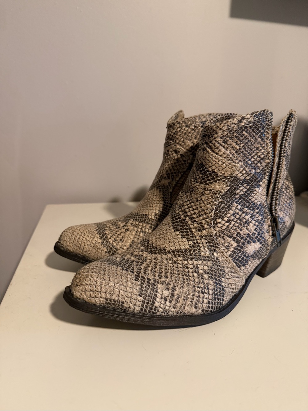 Coconuts by Matisse Snake-Print Ankle Booties in Beige and Black